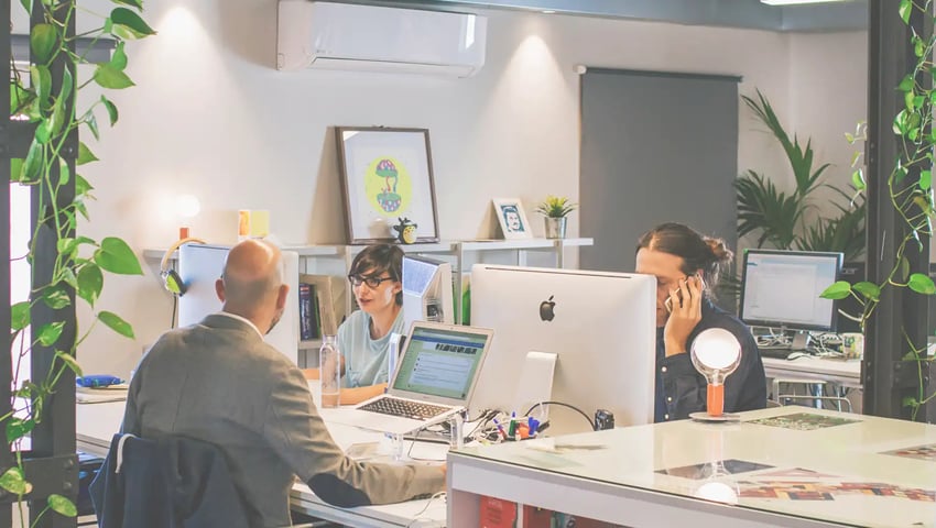 Office culture is the key to a high-performing insurance team - team using computers
